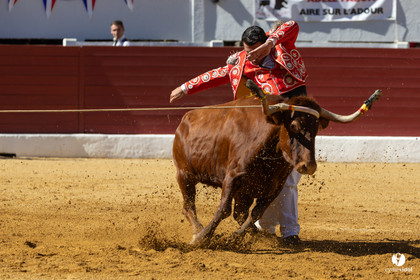 Aire-sur-l'Adour Championnat de France de course landaise 2023