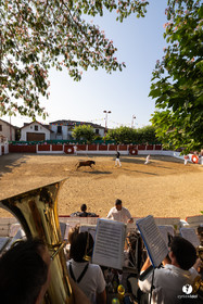 2025-07-05-1708.jpg