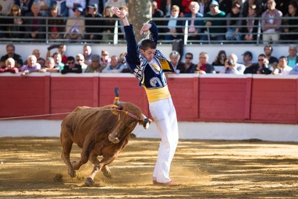 2627.jpg