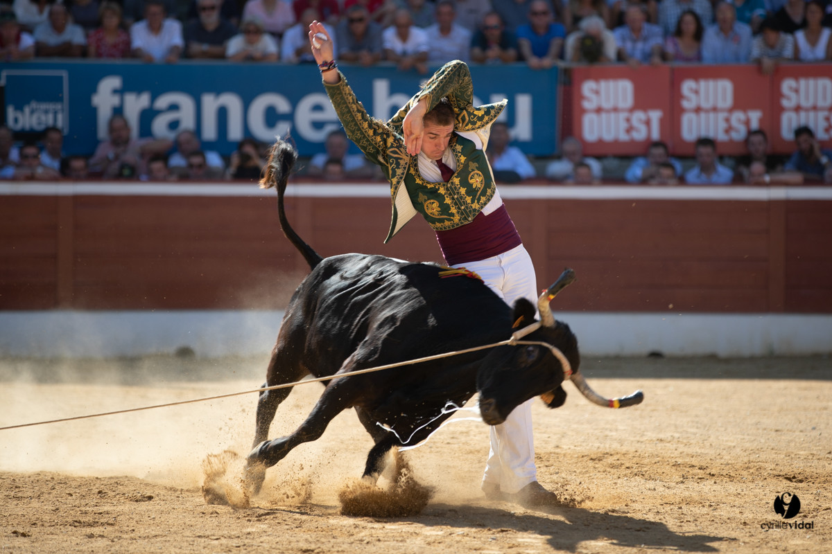 Mont-de-Marsan championnat de France de course landaise 2019