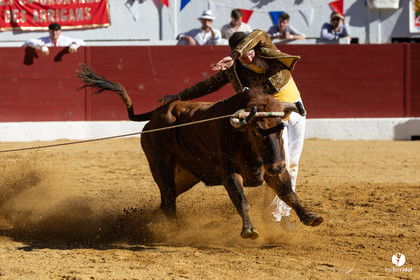 Aire-sur-l'Adour Championnat de France de course landaise 2023