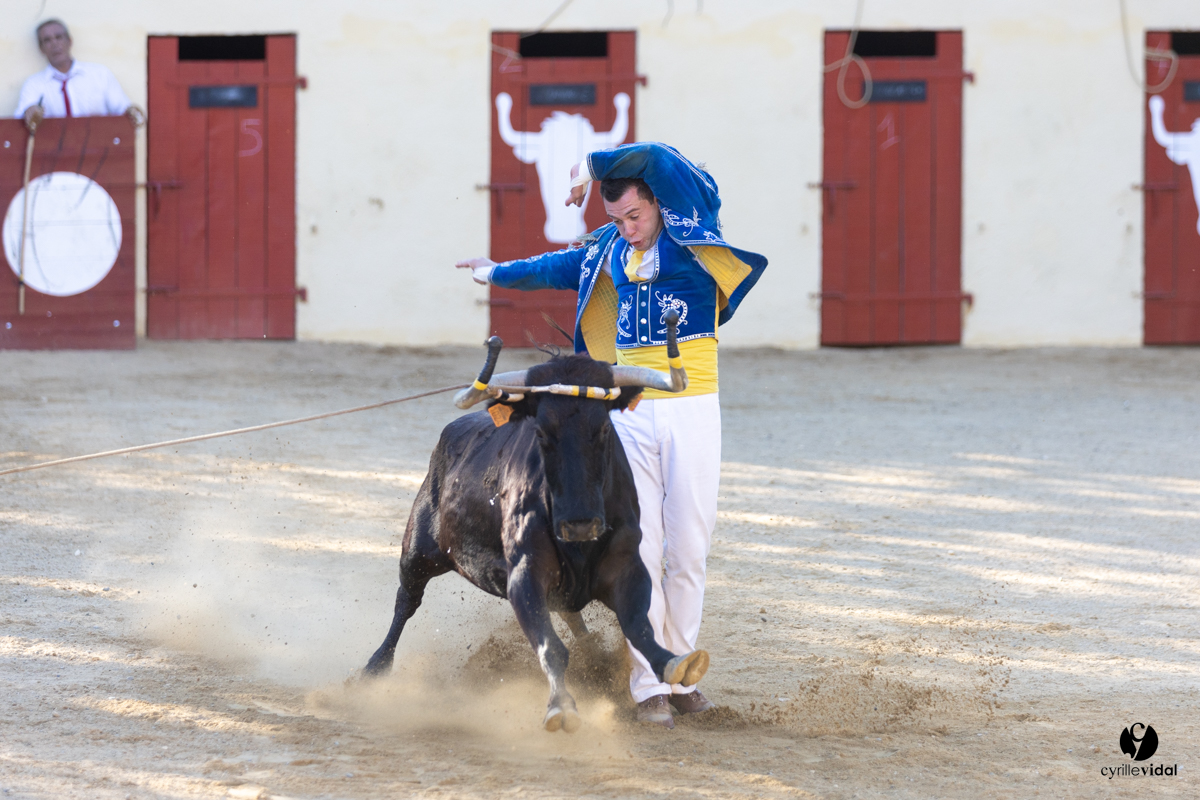 Course landaise