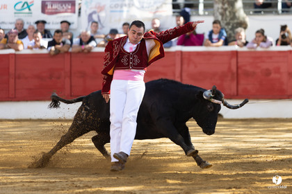 Nogaro Championnat de France de course landaise 2022