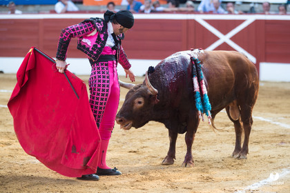 Mont-de-Marsan corrida de Jandilla pour Padilla - Talavante - Roca Rey