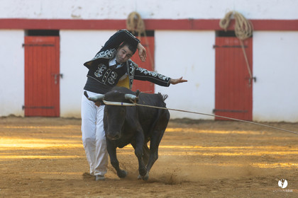 Course landaise à Panjas