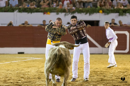 Aire sur l'Adour course landaise génération Aturine