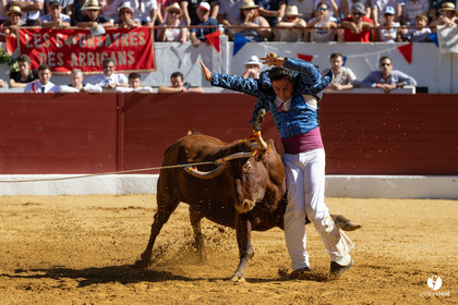 Aire-sur-l'Adour Championnat de France de course landaise 2023