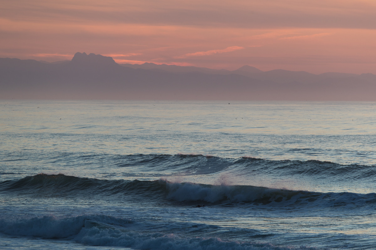 Paysages des Landes