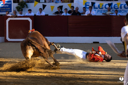 Aire-sur-l'Adour Championnat de France de course landaise 2023