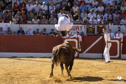 Aire-sur-l'Adour Championnat de France de course landaise 2023