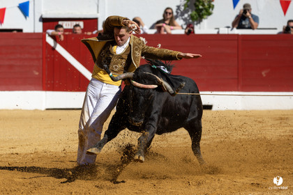 Aire-sur-l'Adour Championnat de France de course landaise 2023