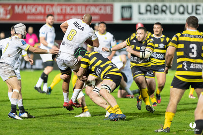 Stade Montois Rugby - Carcassonne