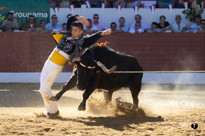 Aire-sur-l'Adour Championnat de France de course landaise 2023