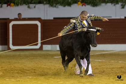 Aire sur l'Adour course landaise génération Aturine