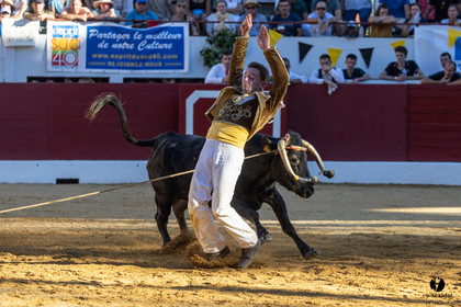 Aire-sur-l'Adour Championnat de France de course landaise 2023