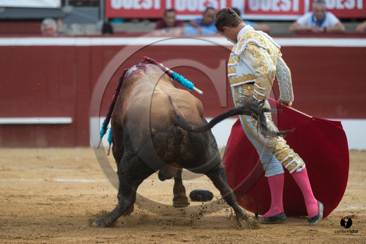 Mont-de-Marsan corrida de Garcigrande pour El Juli et Juan Bautista Mont-de-Marsan corrida de Garcigrande pour El Juli et Juan Bautista