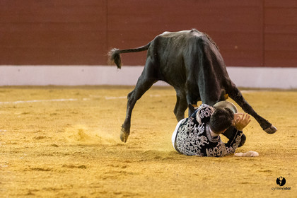 Aire sur l'Adour course landaise génération Aturine