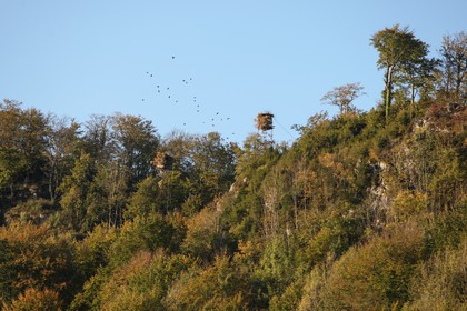 2008-10-24-0600.jpg