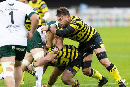 Stade Montois Rugby - Montauban