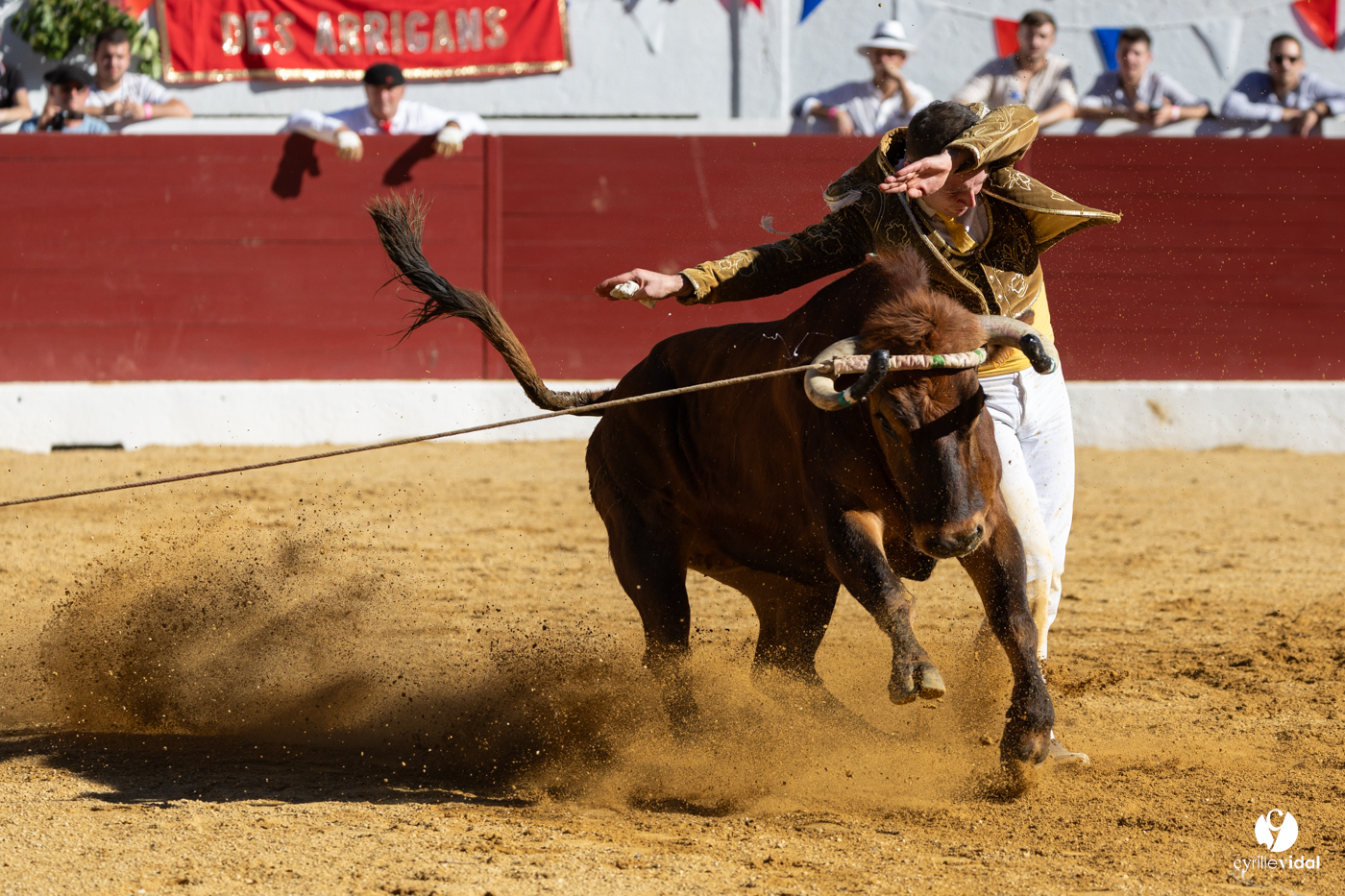 Aire-sur-l'Adour Championnat de France de course landaise 2023