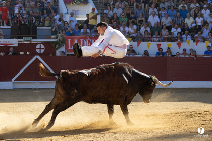 Aire-sur-l'Adour Championnat de France de course landaise 2023