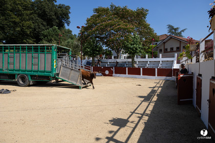 2025-07-05-1009.jpg