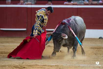 Mont-de-Marsan corrida d'Adolfo Martin
