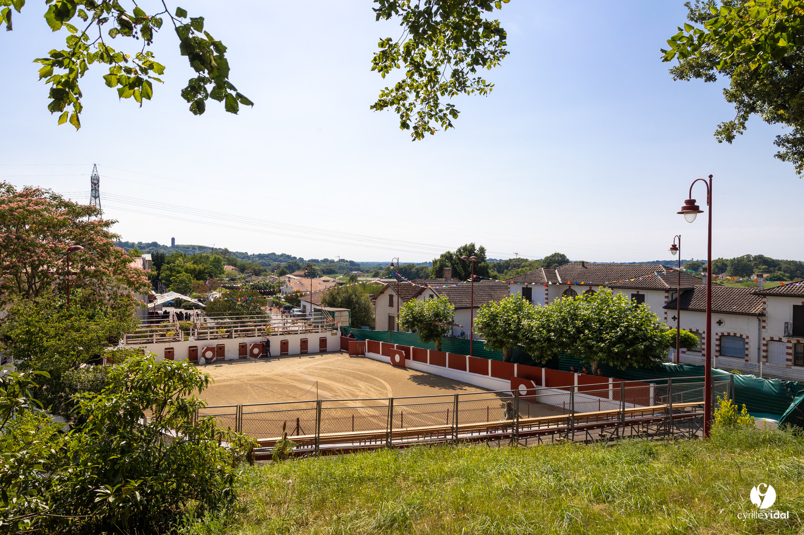 2025-07-05-1042.jpg