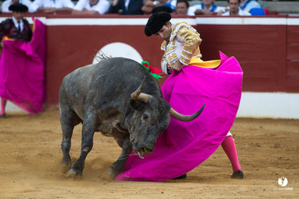Mont-de-Marsan corrida d'Adolfo Martin