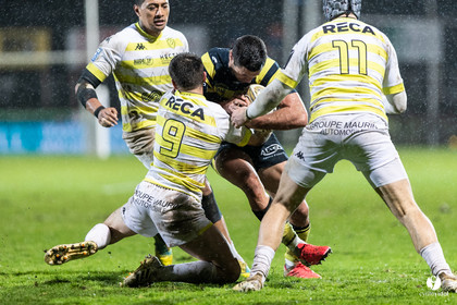 Stade Montois Rugby - Carcassonne