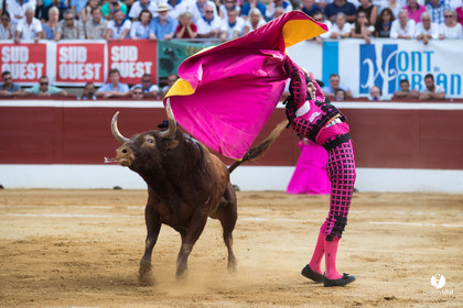 Mont-de-Marsan corrida de Jandilla pour Padilla - Talavante - Roca Rey