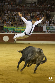 course landaise