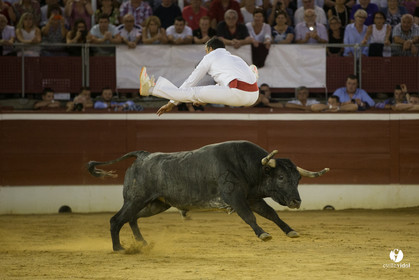 course landaise