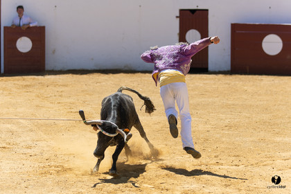 Saint-Cricq Chalosse course landaise de promotion Ganadéria Deyris Cuadrilla Jérémy Lafitte