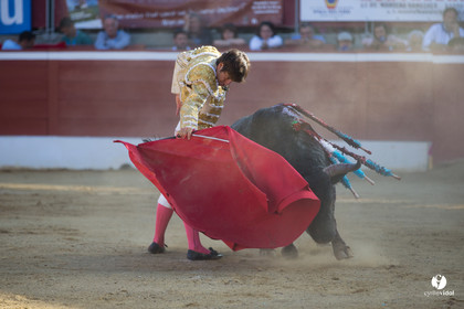 Mont-de-Marsan corrida d'Adolfo Martin