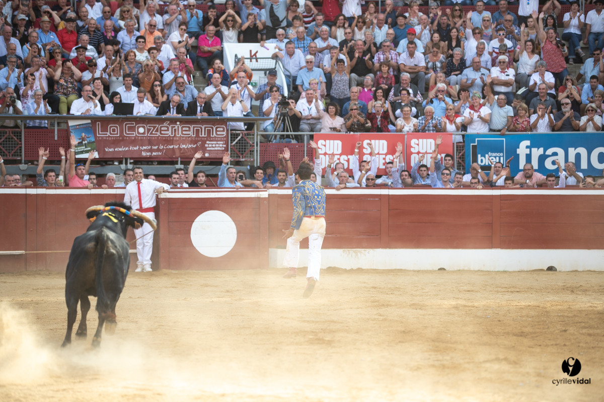 Mont-de-Marsan championnat de France de course landaise 2019