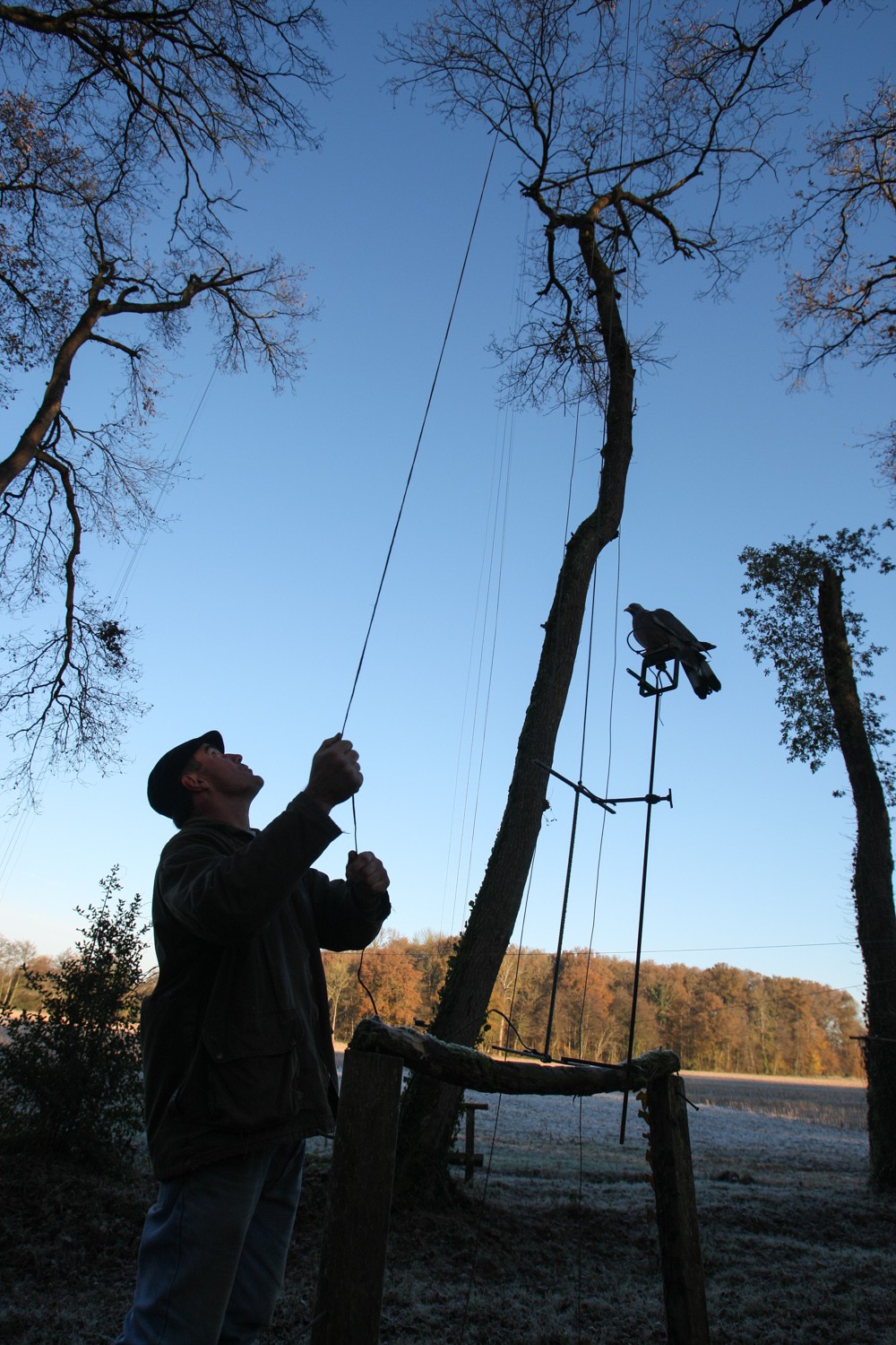 2008-11-28-9135.jpg