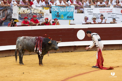 2159.jpg