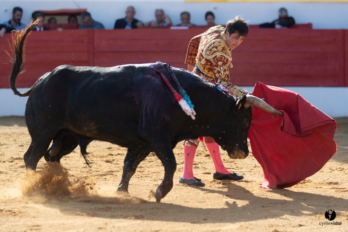 Corrida Aignan
