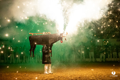Landes émotions à Aire-sur-l'Adour