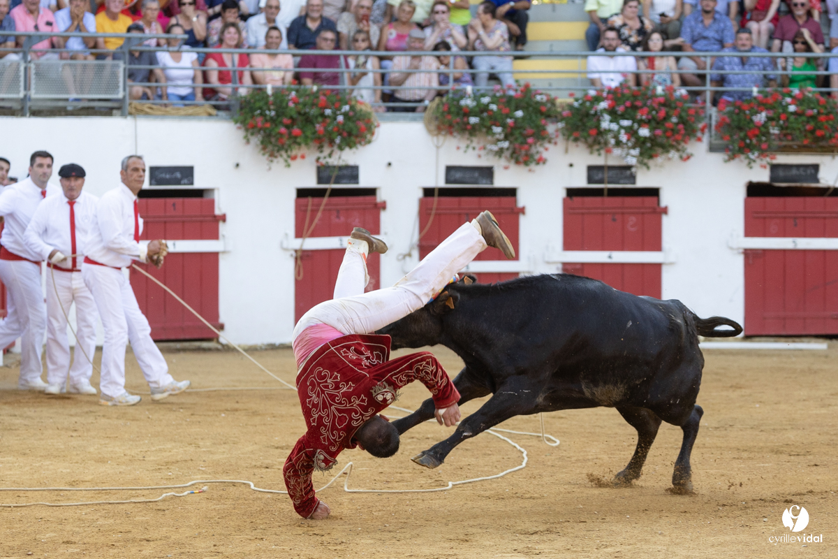 Nogaro Corne d'Or 2023