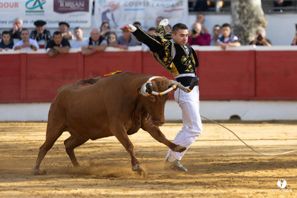 Nogaro Championnat de France de course landaise 2022