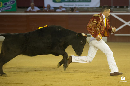 course landaise