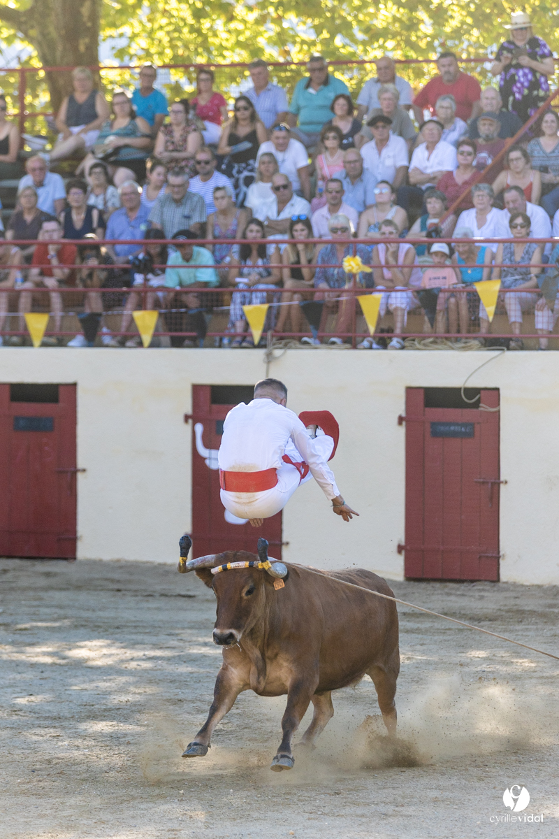 Course landaise