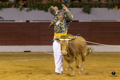 Aire sur l'Adour course landaise génération Aturine
