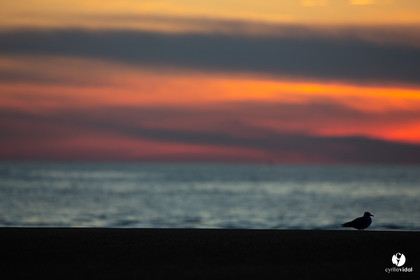 Océan Capbreton - Hossegor et Lac