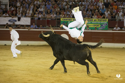 course landaise
