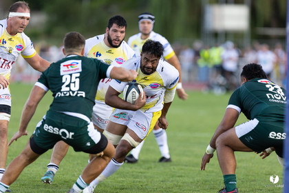 Stade Montois Rugby - Section Paloise
