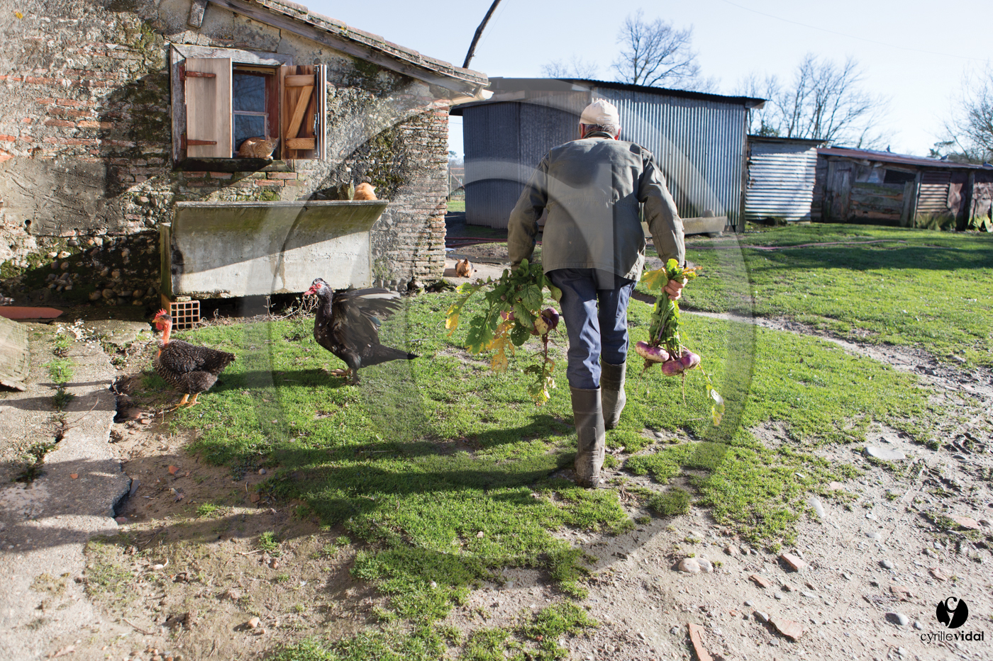 Jours de pelère