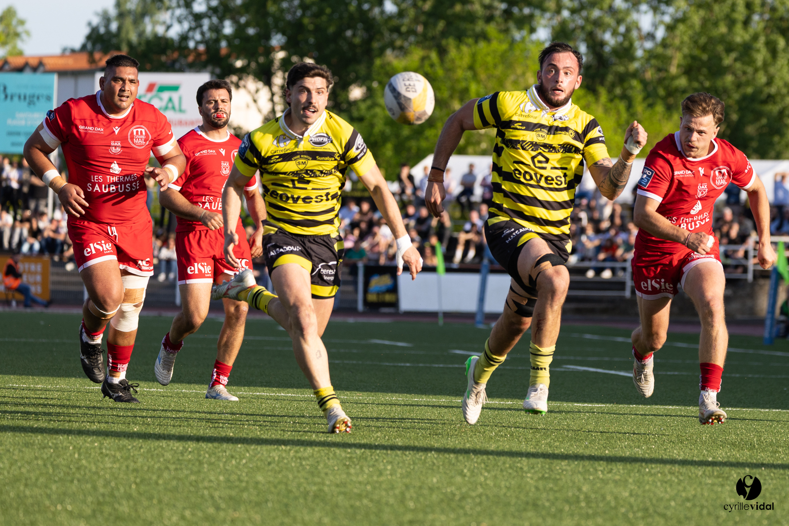 2025-04-25-2261.jpg